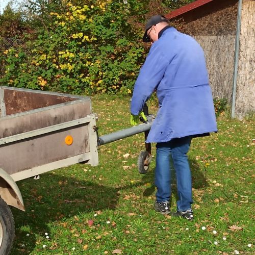 Platanenschnitt 2025