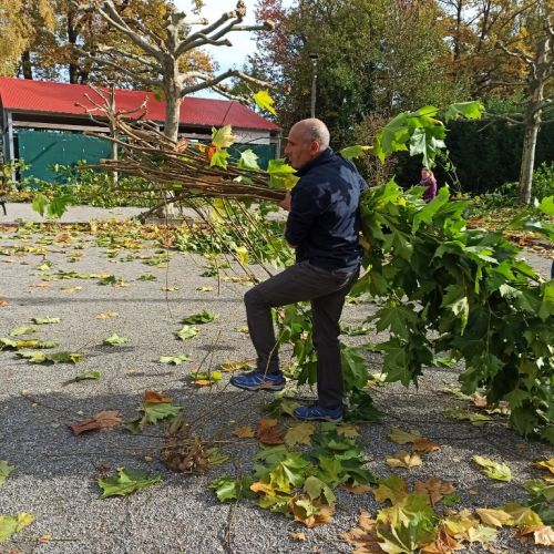 Neumitglied Samir hilft auch