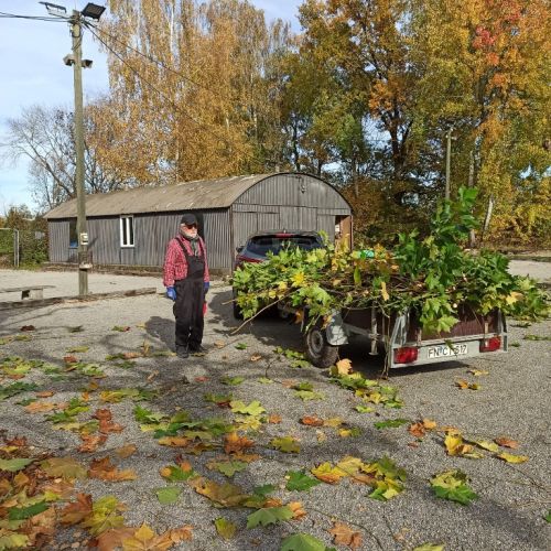 Bernd schaut eher zu