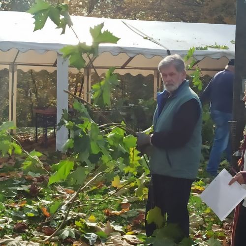 Gerhard ist fleißig wie alle